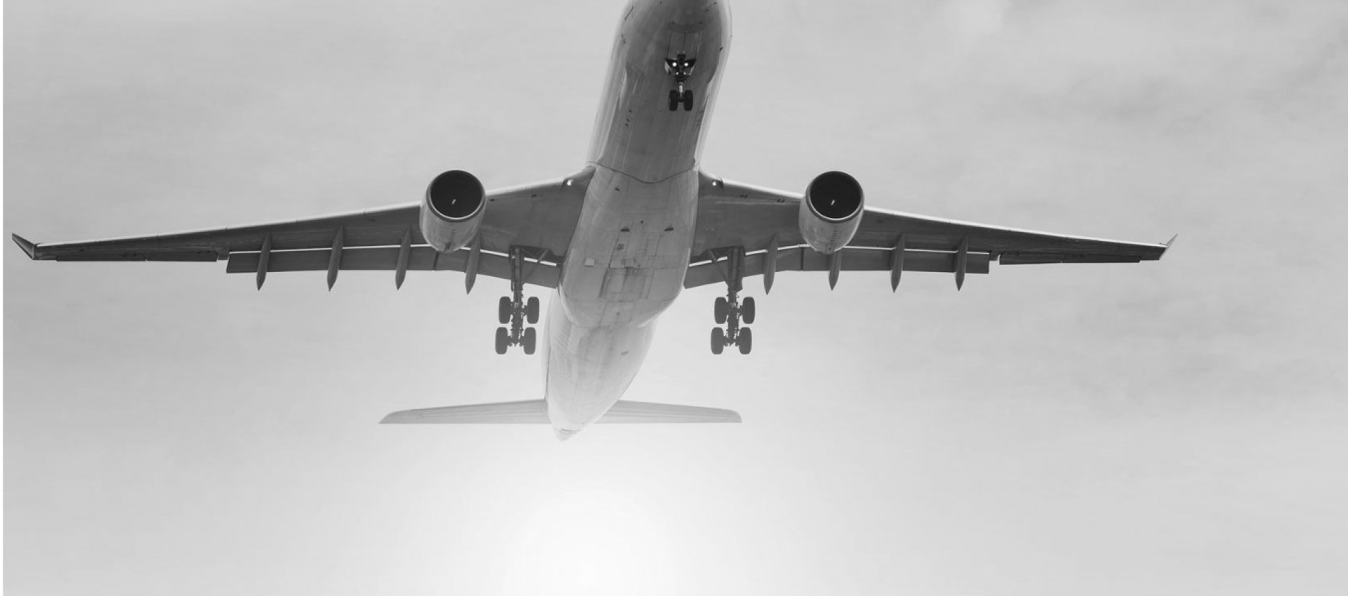 Air Cargo Charter Nextflightcourier